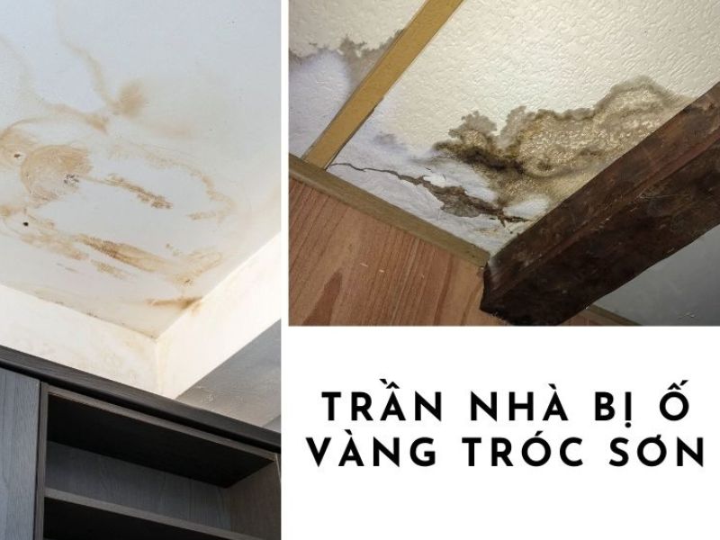 Trần nhà bị ố vàng có thể do sân thượng bị thấm dột